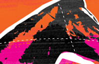 Thoroughbred horse breeding and sales